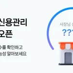 카카오페이 사업자 신용관리 개인사업자 신용점수 화면