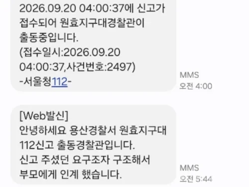 원효대교에서 시민 신고 이후 경찰과 구조 인력이 출동한 상황을 표현한 이미지