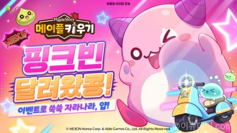 메이플 키우기 핑크빈 보스 레이드 최대 4인 파티 전투