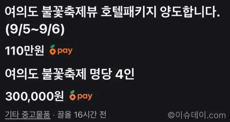 서울세계불꽃축제 2026 여의도한강공원 호텔 레스토랑 암표 논란