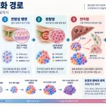 담도암 진화 경로