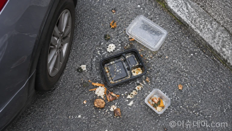 골목길 바닥에 내던져져 흩어진 포장 도시락 용기