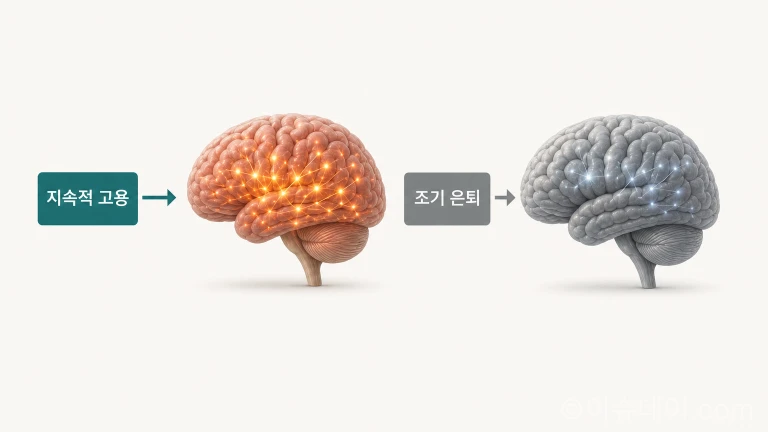 지속적인 고용이 뇌 건강에 긍정적인 영향을 미친다는 개념을 시각화한 인포그래픽