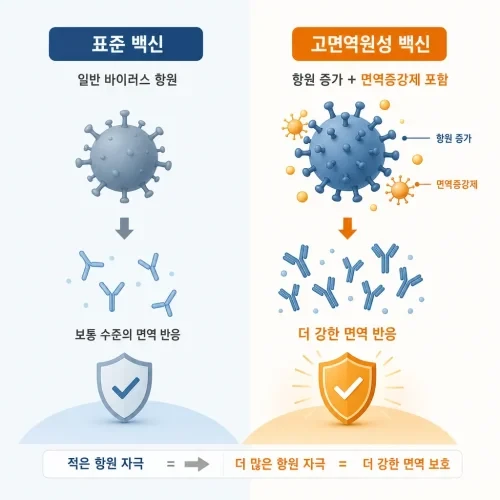 표준 독감 백신과 고면역원성 독감 백신의 작용 원리 비교 일러스트.