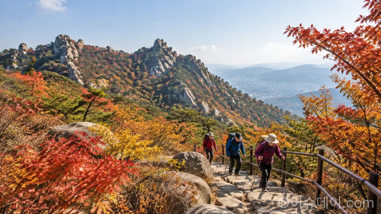 관악산 안전관리 대폭 강화… 등산로와 연주대 일대 인파 집중 점검