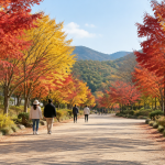 가을 단풍이 붉고 노랗게 물든 경남수목원 산책로 전경