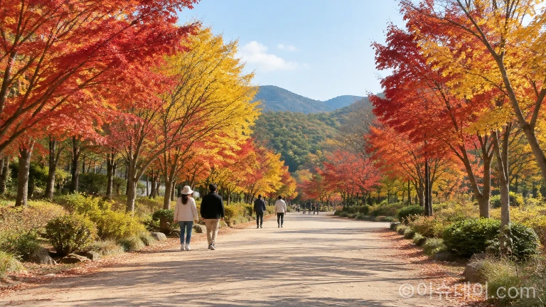 가을 단풍이 붉고 노랗게 물든 경남수목원 산책로 전경