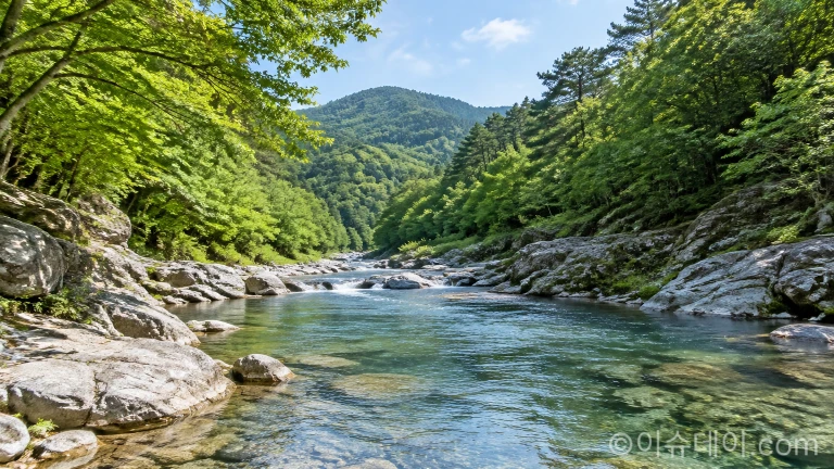 불법 평상과 천막 시설이 철거되어 맑은 물과 바위가 온전히 드러난 계곡 수변 모습