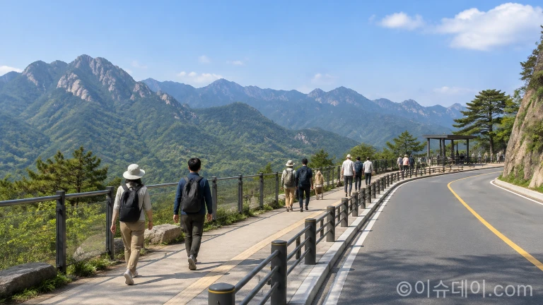 관광객 밀집과 무단 촬영을 방지하기 위해 가림 시설과 보행로가 정비된 도로 풍경