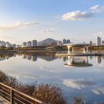 세종 여행의 대표 명소인 호수공원 산책로와 수상 무대 구조물 전경