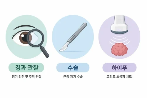 자궁근종 치료법인 경과 관찰, 수술, 하이푸를 나타내는 아이콘